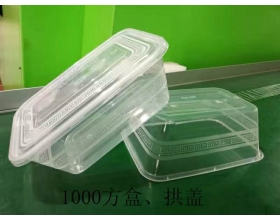 注塑盒（1000方盒、拱盖）-长沙注塑厂